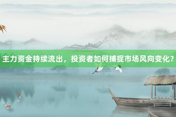 主力资金持续流出，投资者如何捕捉市场风向变化？