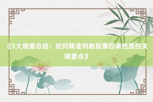 《5大维度总结：如何精准判断股票回调性质的关键要点》